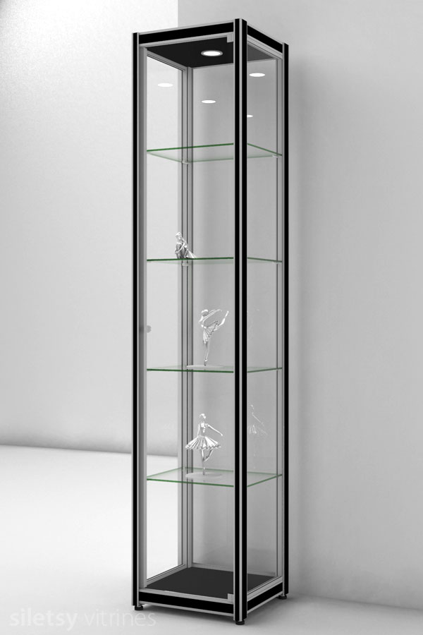 Vitrine FX02 42x39x200cm