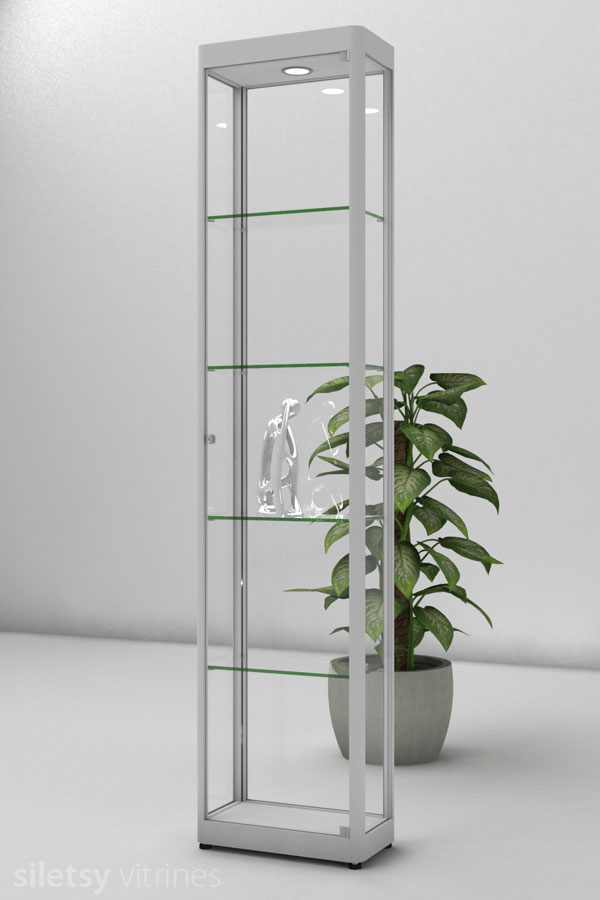 Vitrine PR01 45x24x198cm