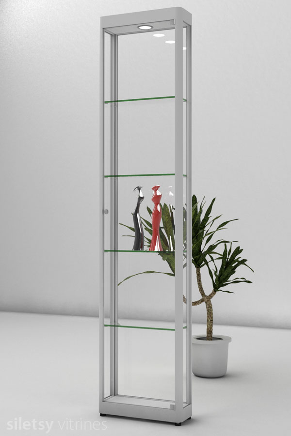 Vitrine PR01A 45x17x198cm