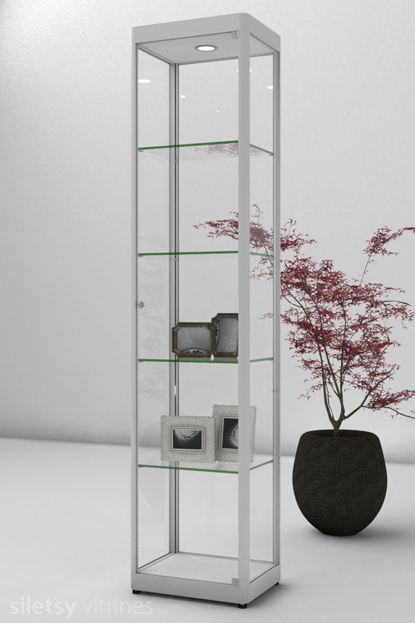 Vitrine PR02 45x35x198cm