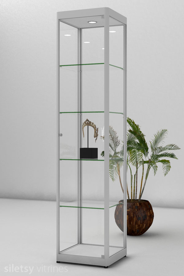 Vitrine PR03 45x44x198cm