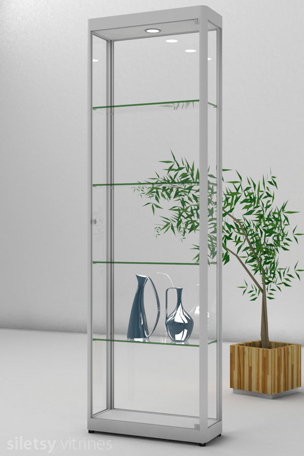 Vitrine PR04 62x24x198cm