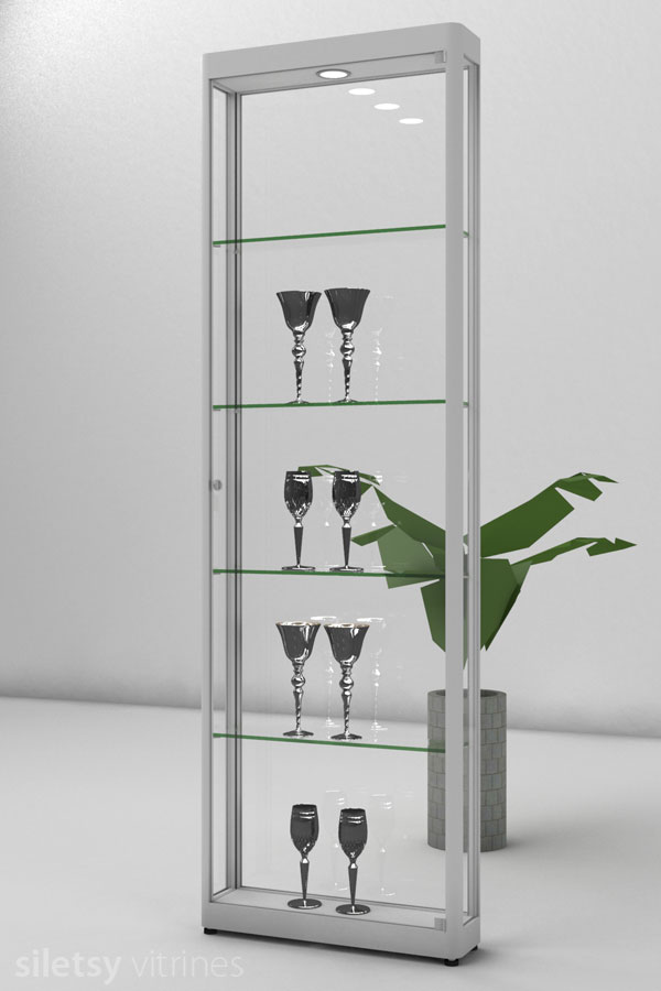 Vitrine PR04A 62x17x198cm