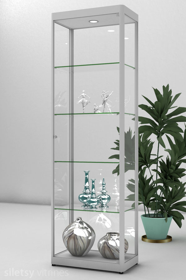 Vitrine PR05 62x35x198cm