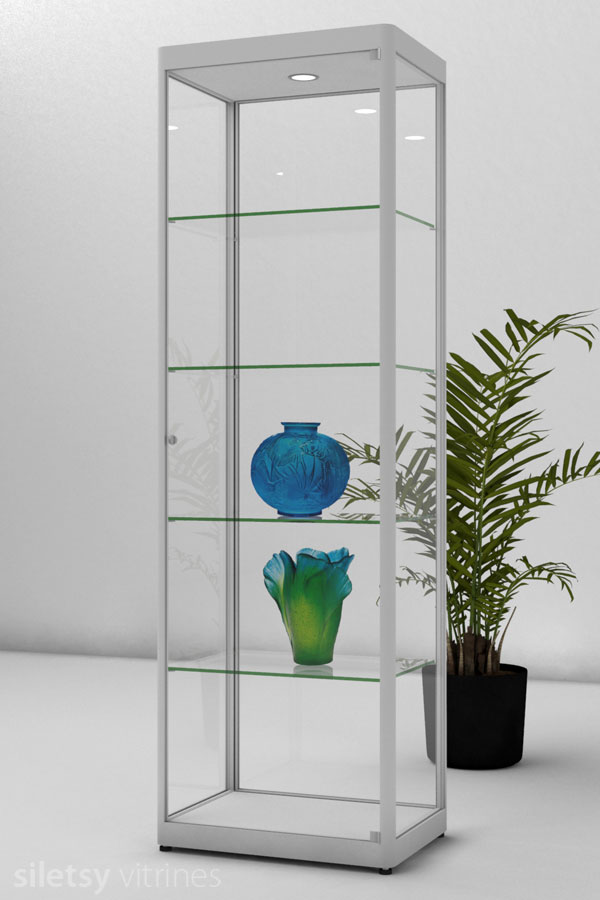 Vitrine PR06 62x44x198cm