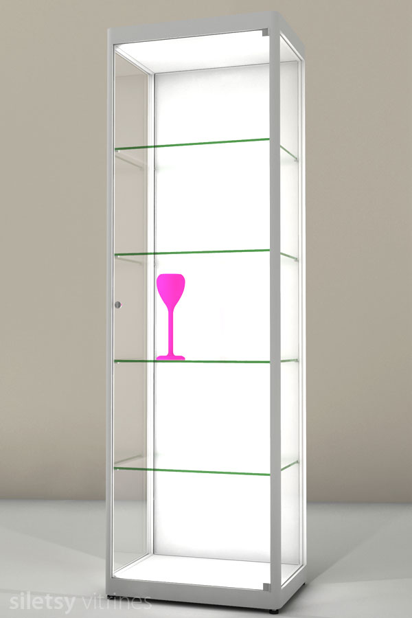 LED-vitrine PR-06/L 62x44x198cm